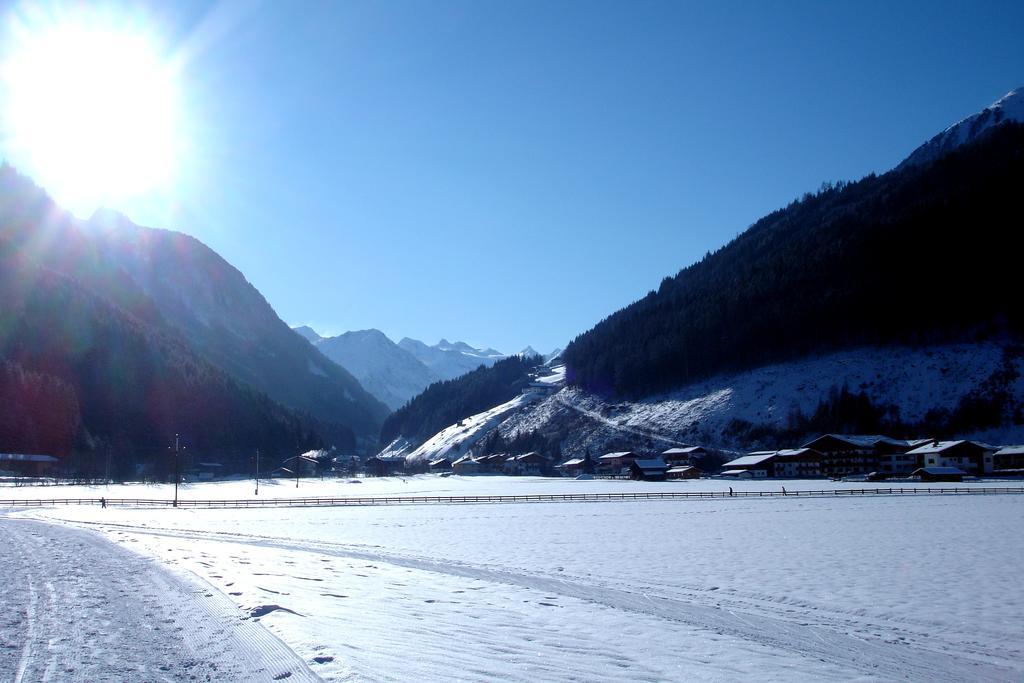 Luenerhof Guest House Neustift im Stubaital Ngoại thất bức ảnh